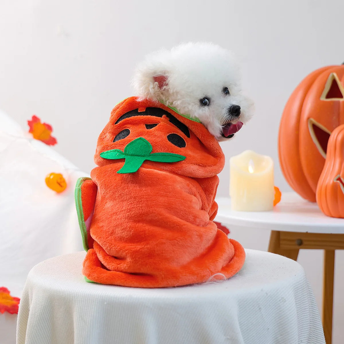 PETCIRCLE pet clothes small dog cute dog cartoon bath towel bathrobe cat nightgown collection