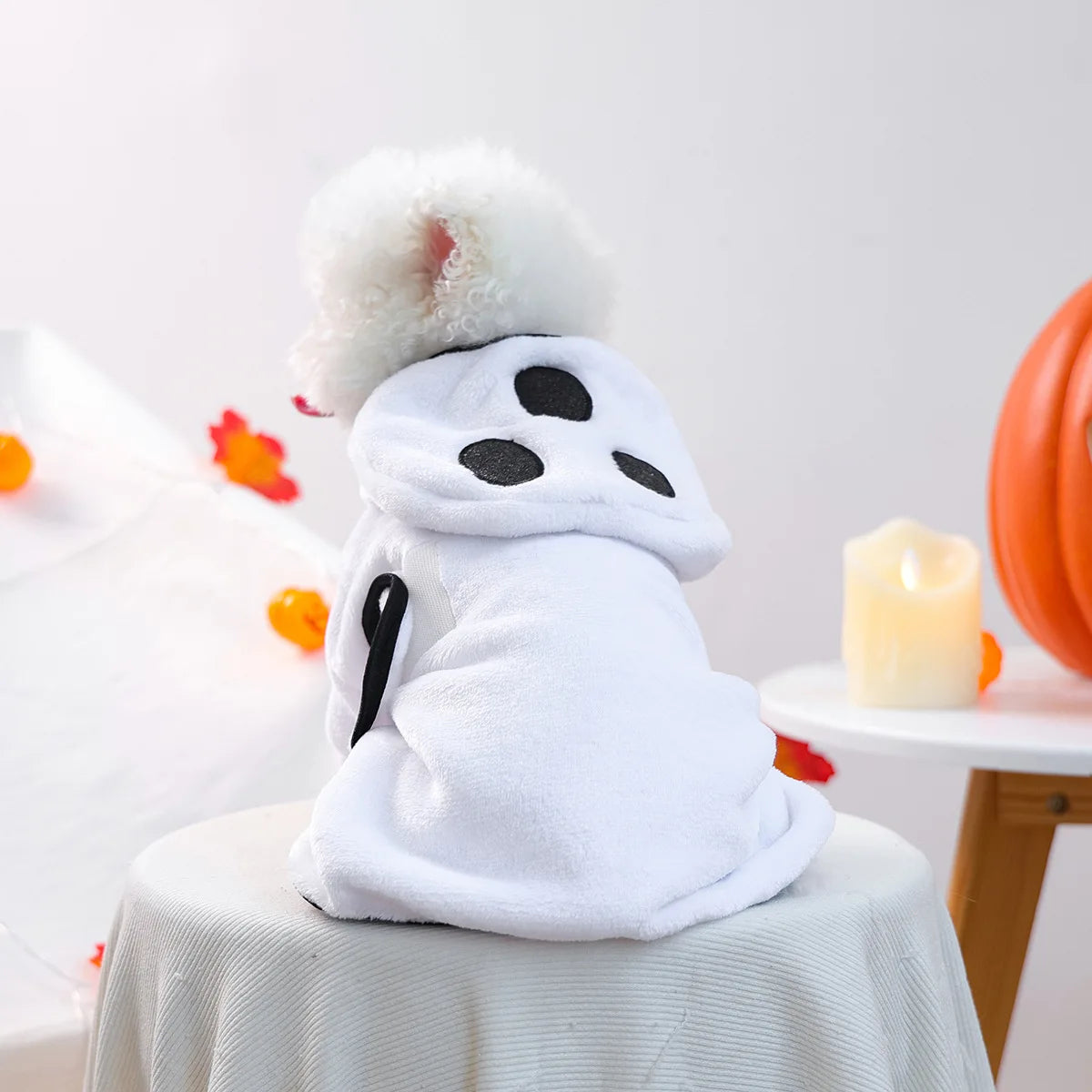 PETCIRCLE pet clothes small dog cute dog cartoon bath towel bathrobe cat nightgown collection