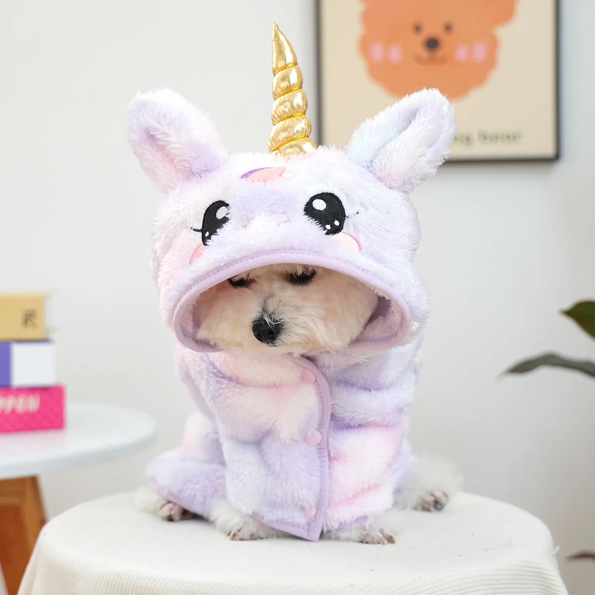 PETCIRCLE pet clothes small dog cute dog cartoon bath towel bathrobe cat nightgown collection