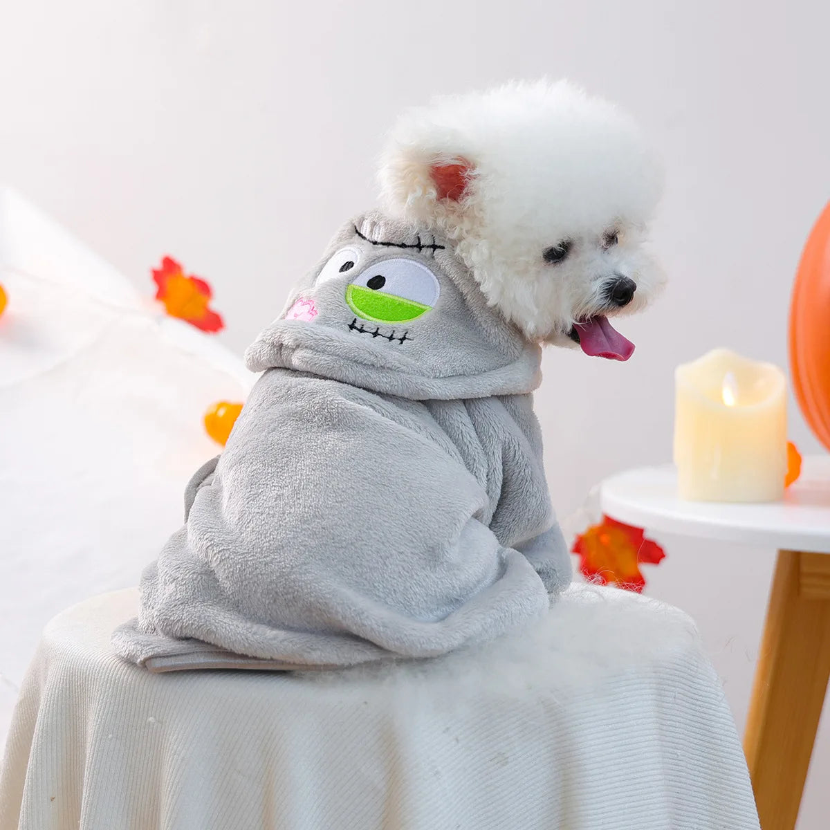 PETCIRCLE pet clothes small dog cute dog cartoon bath towel bathrobe cat nightgown collection